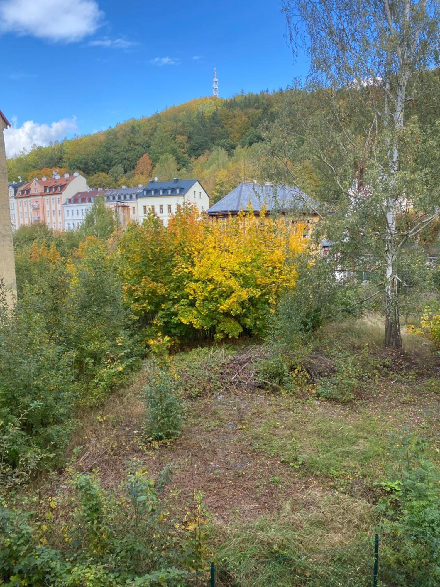 Apartmentscarlsbad Karlovy Vary Extérieur photo