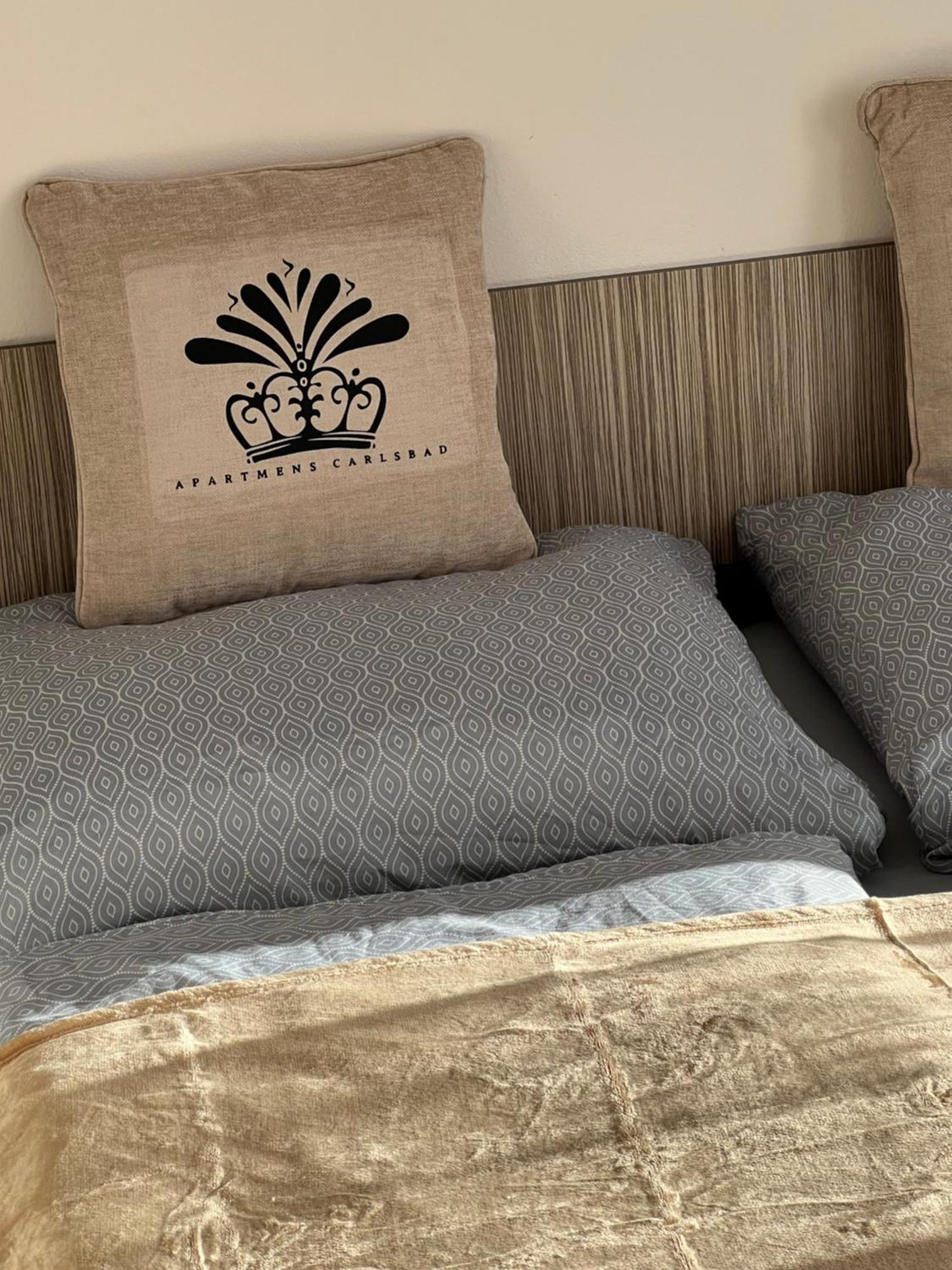 Apartmentscarlsbad Karlovy Vary Extérieur photo